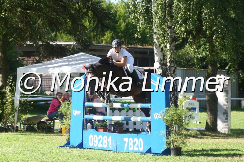 308M1365_Spring L.JPG